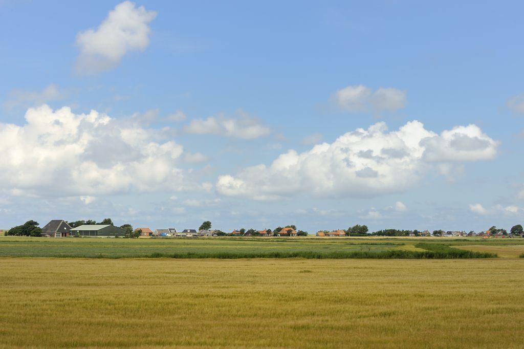Beach-Dijkvilla Seaview Horizons Makkum Room photo
